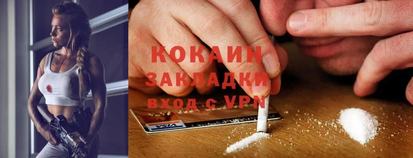 гидра Белокуриха
