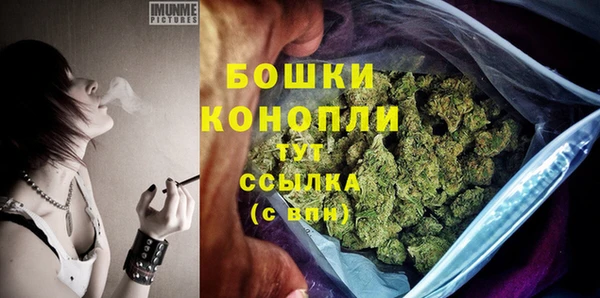 гидра Белокуриха