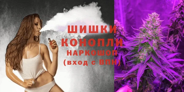 гидра Белокуриха
