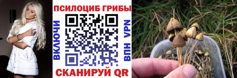 Галлюциногенные грибы GOLDEN TEACHER  Купить где  Качканар 