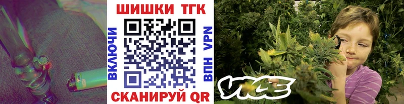 Шишки марихуана индика  Купить где  Качканар 